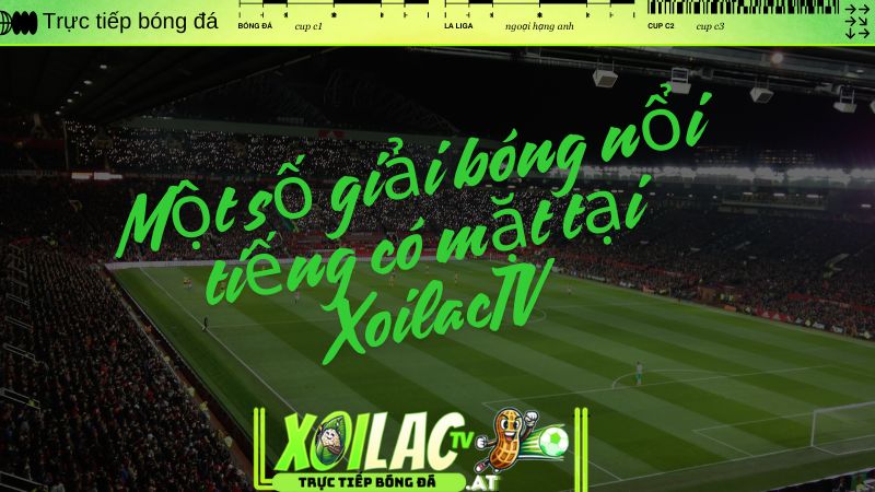 Một số giải bóng nổi tiếng có mặt tại XoilacTV