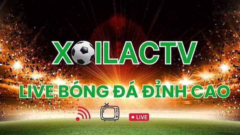 Điều khoản về trách nhiệm của người dùng Xoilactv