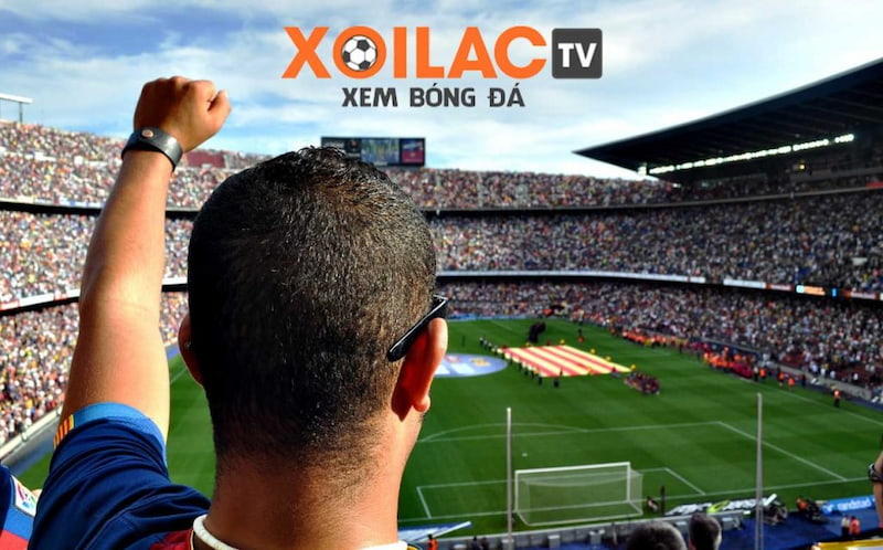 Trách nhiệm của người dùng đối với Xoilactv