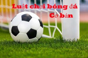 Quy định về sân thi đấu trong tất cả các luật trong bóng đá là gì